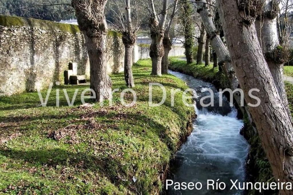 Viveiro Dreams Villa Exteriör bild
